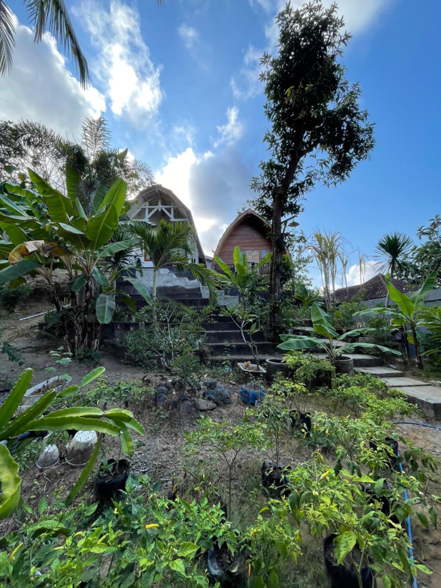 Tri Putri Homestay Kuta  Kültér fotó