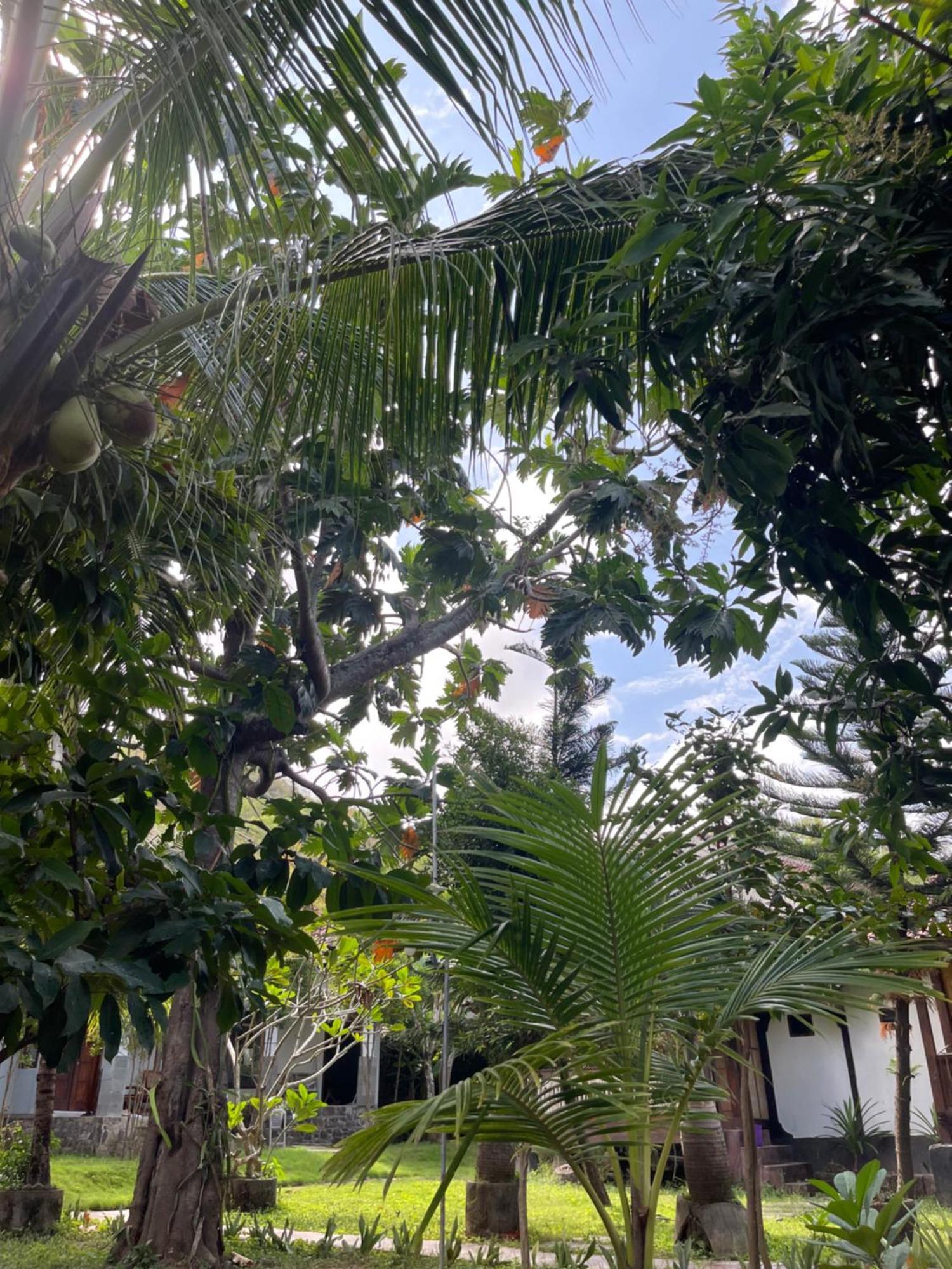 Tri Putri Homestay Kuta  Kültér fotó