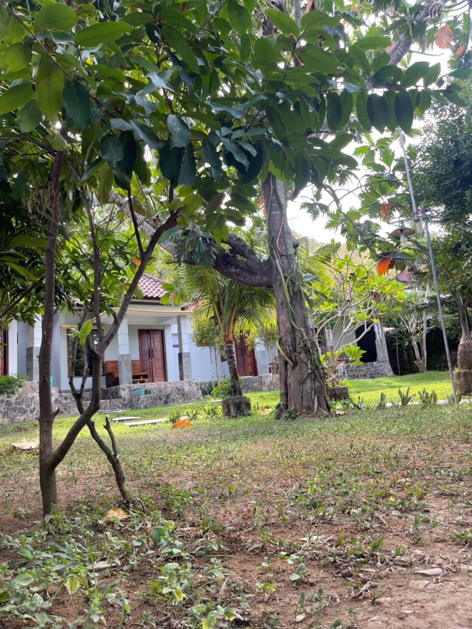 Tri Putri Homestay Kuta  Kültér fotó